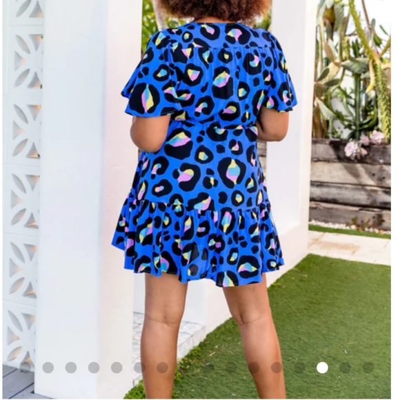 Proud Poppy Diego Dress in Classic Blue Leopard Print. US 10. Blue Animal Print. - Picture 3 of 10
